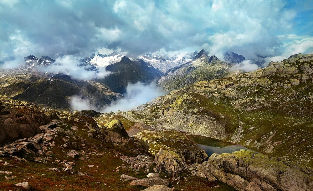 Photograph by Elena Wymann