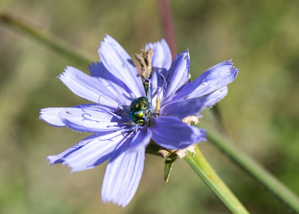 Photograph by Юлия Водонос