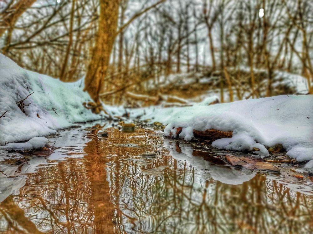 Photograph by Jason Morse