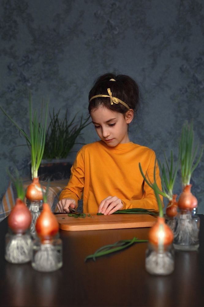 Домашний огород