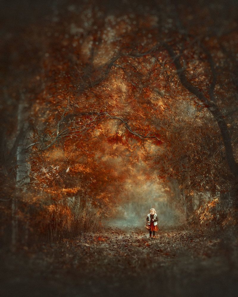 В лес по грибы...