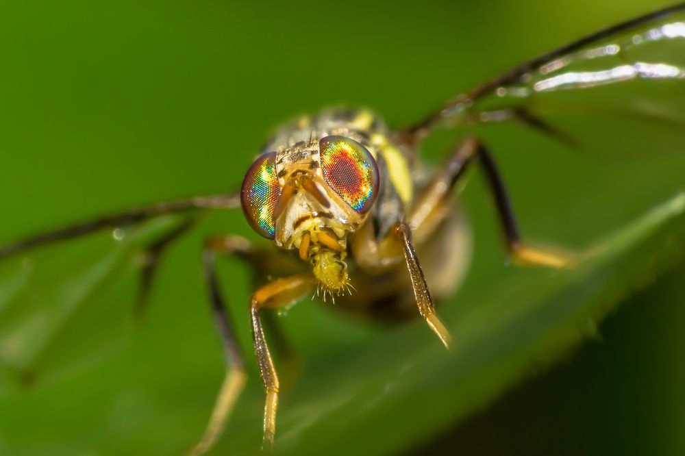 Photograph by debasish pal