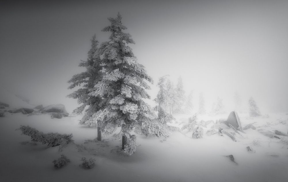 Photograph by Татьяна Бирюкова