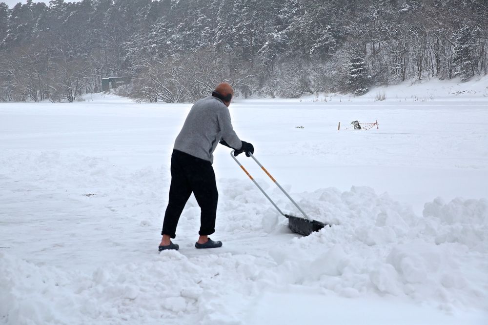 Фотография автора Наталья Васько -Черданцева