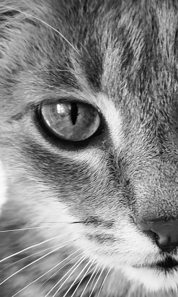 Photograph by Мария Прокопенко