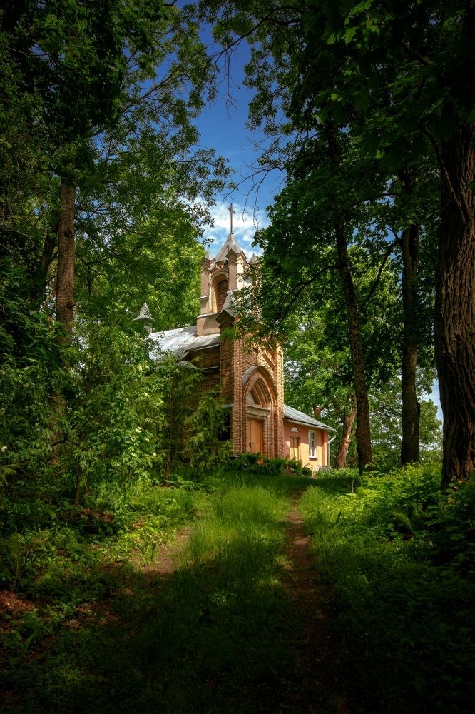 Photograph by Виталий Федотов