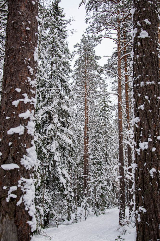 Photograph by Nora Cheprasova