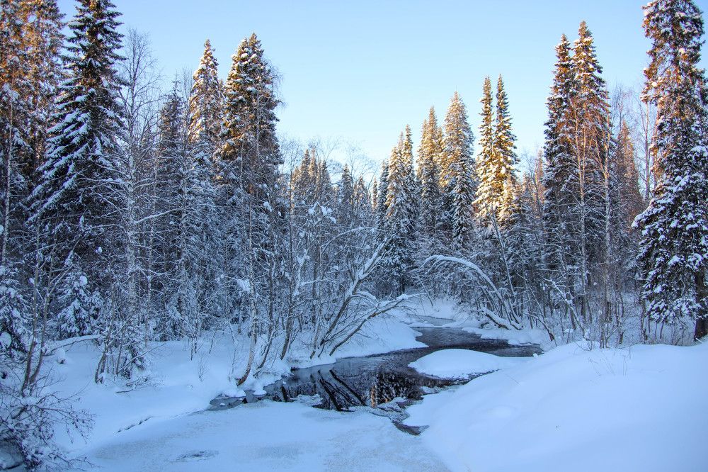 Photograph by Александр Трифанов