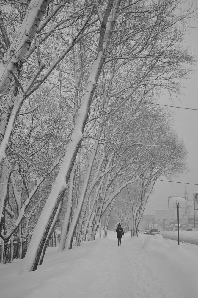 Photograph by Елена Клочкова