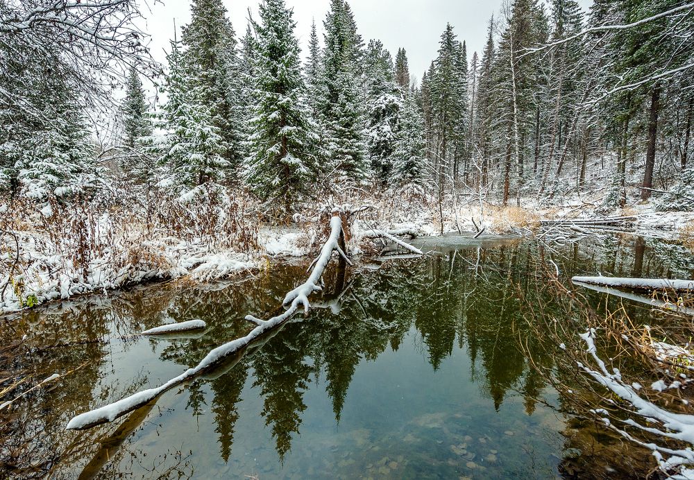 Photograph by Виктор Садырин