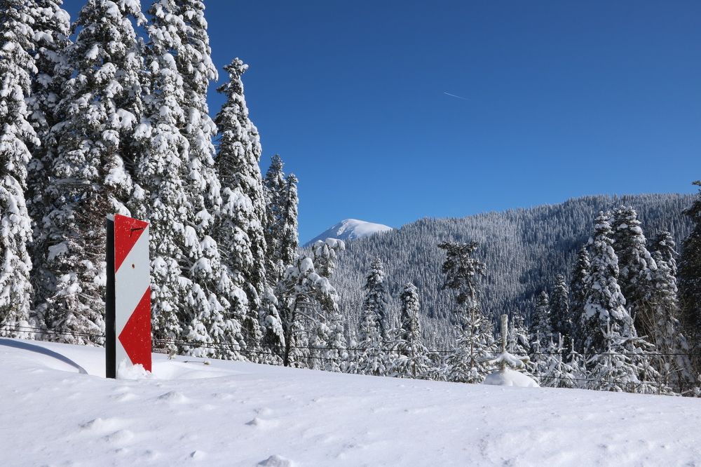 Photograph by Cengiz Yalcin