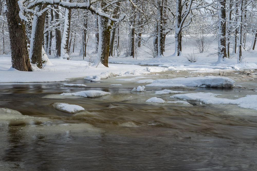 Photograph by Gatis Vilbrants