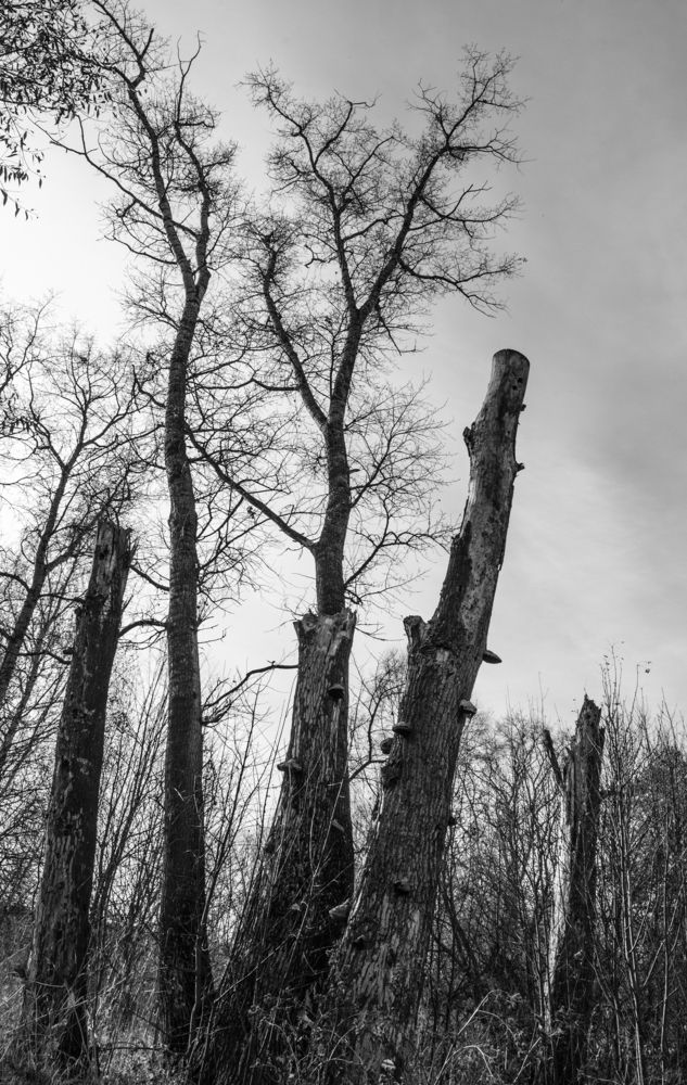 Фотография автора Виктор Руденко