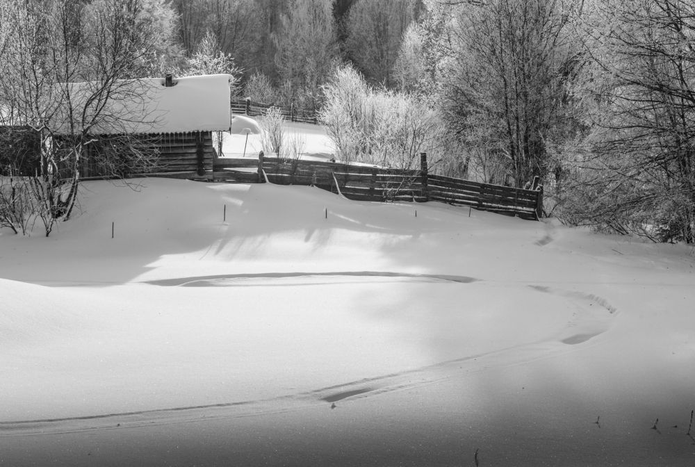 Фотография автора Виктор Руденко