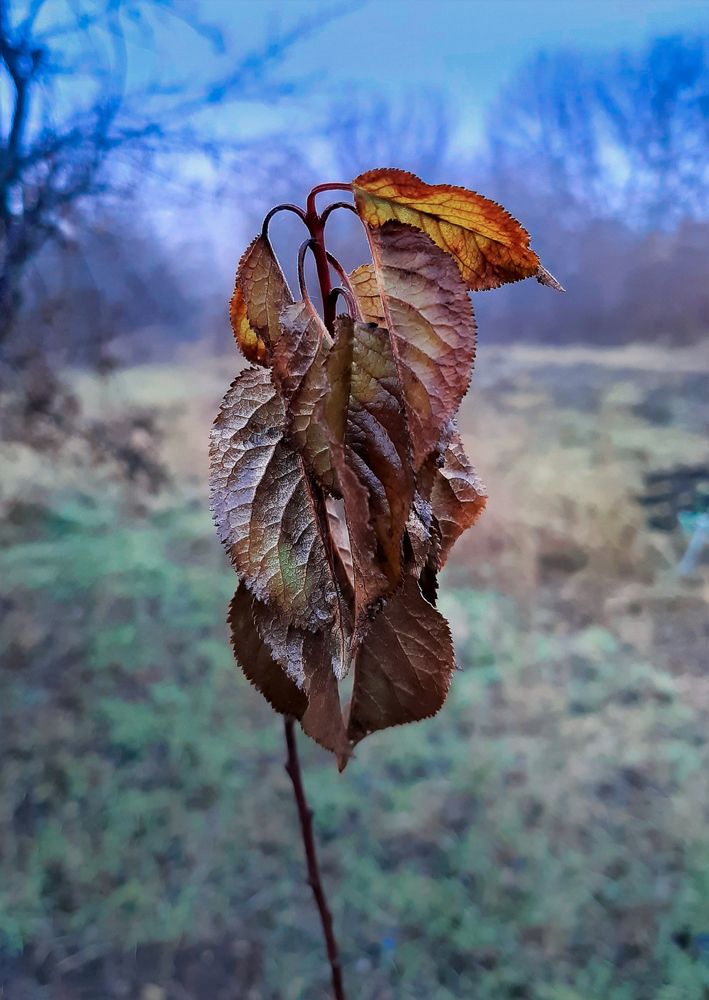 Photograph by Леонид Борисенко