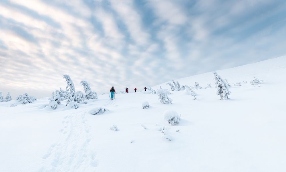 Главный Уральский Хребет