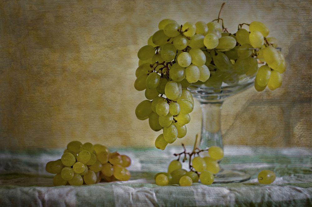 Photograph by Светлана Лехмус