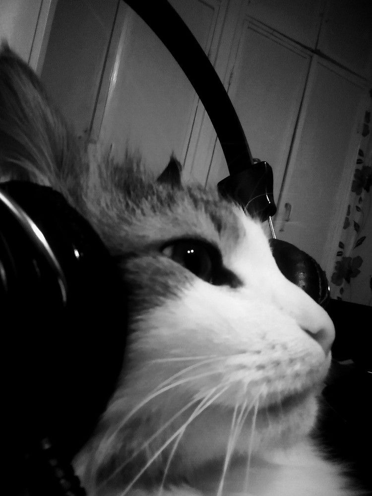 Photo #5742285