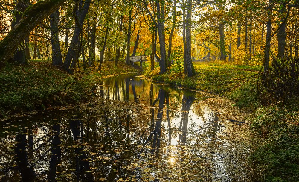 Краски осени