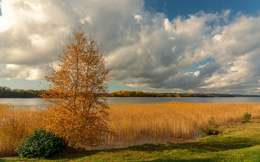Фотография автора Вадим Жигулин