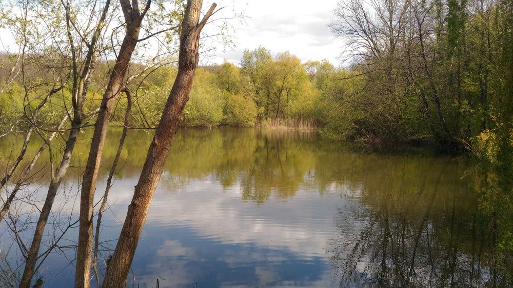 Photo #5742352