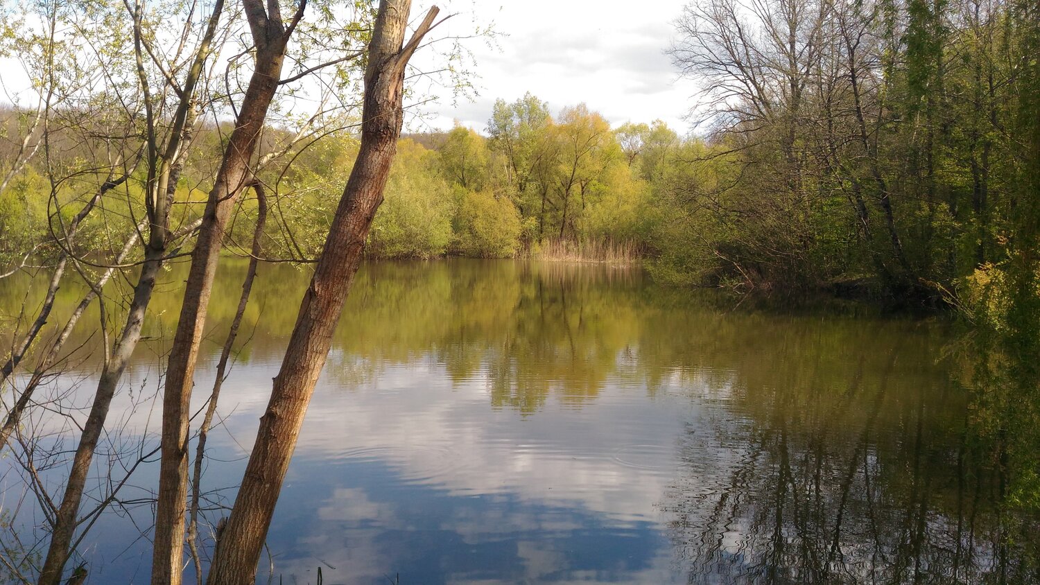Photo #5742352