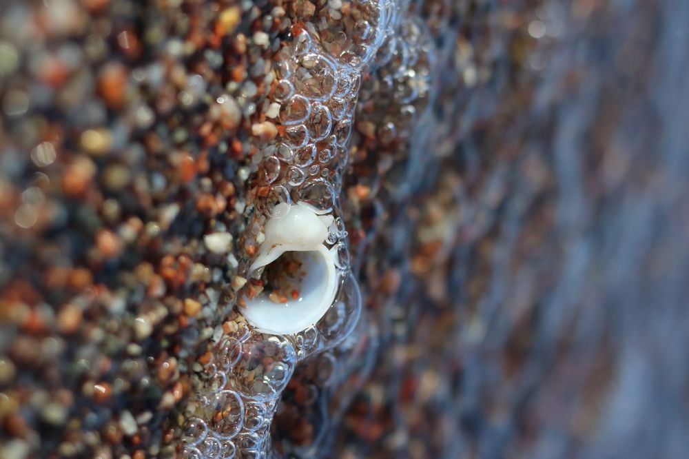 Photograph by Ekaterina De