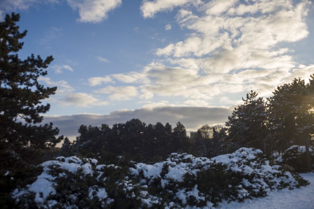 Photograph by Heorhii