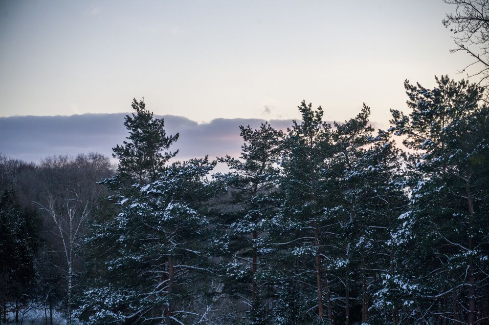 Photograph by Heorhii