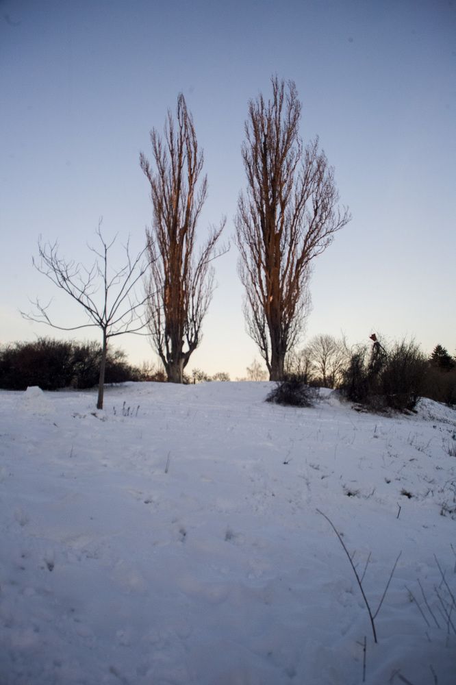 Photograph by Heorhii