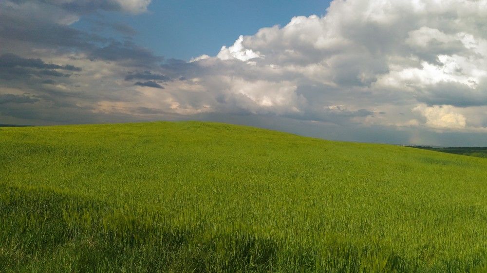 Photo #5742437