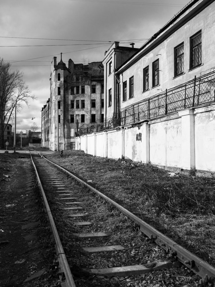 Photograph by Дмитрий Григорьев