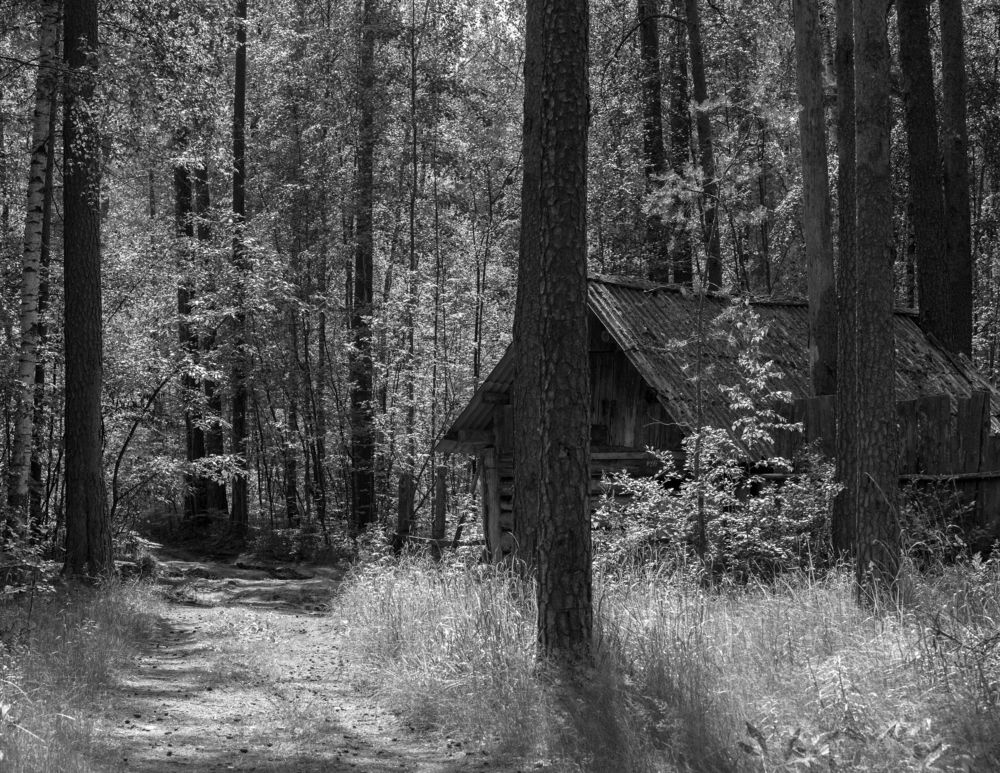 Фотография автора Виктор Руденко