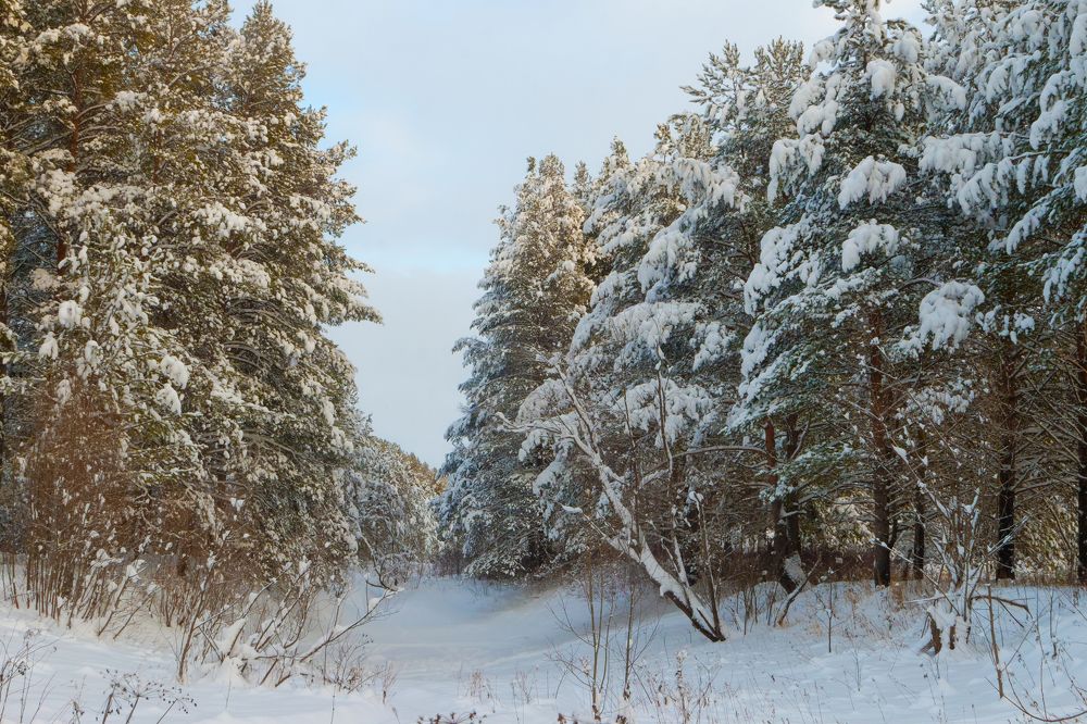 Photograph by Анатолий Калмыков