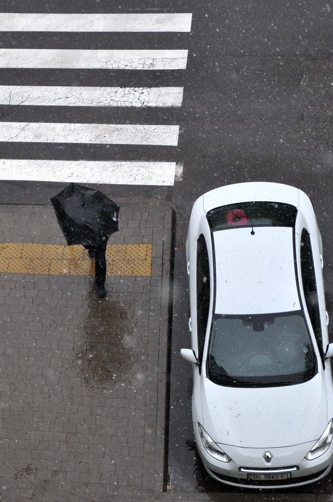 Photograph by Светлана