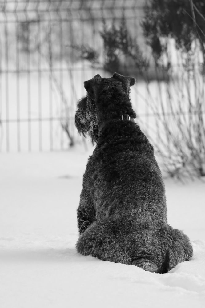 Photograph by Илья Пономарев