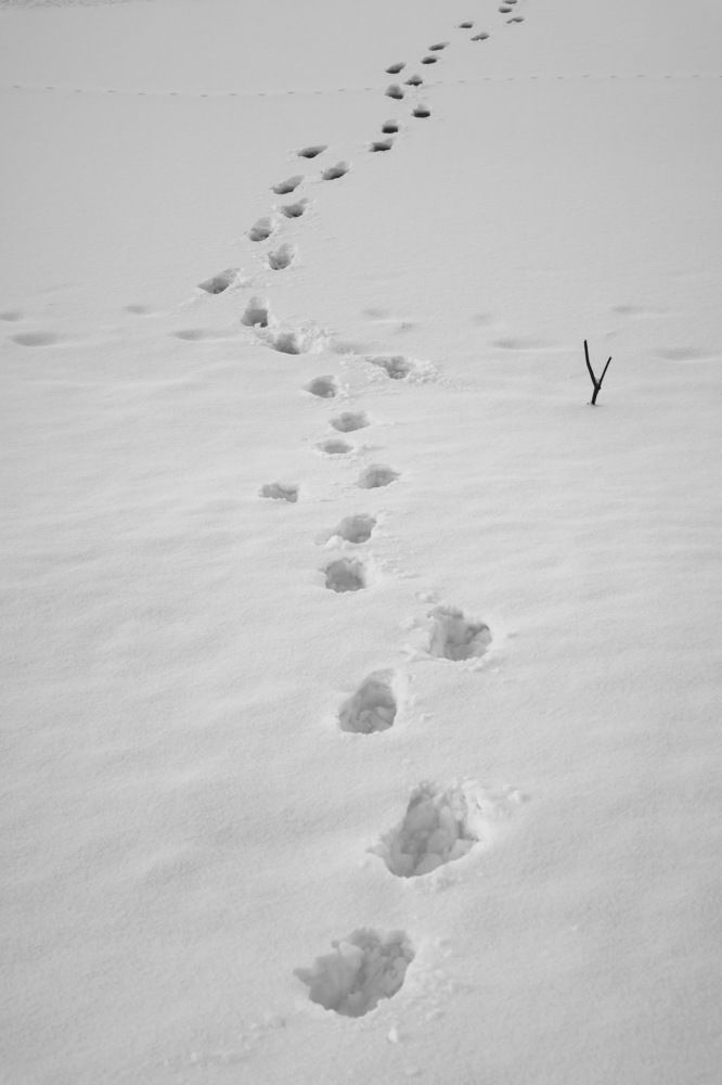 Photograph by Илья Пономарев