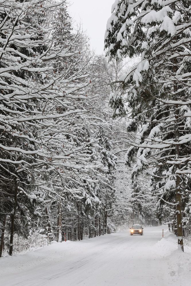 Photograph by Илья Пономарев