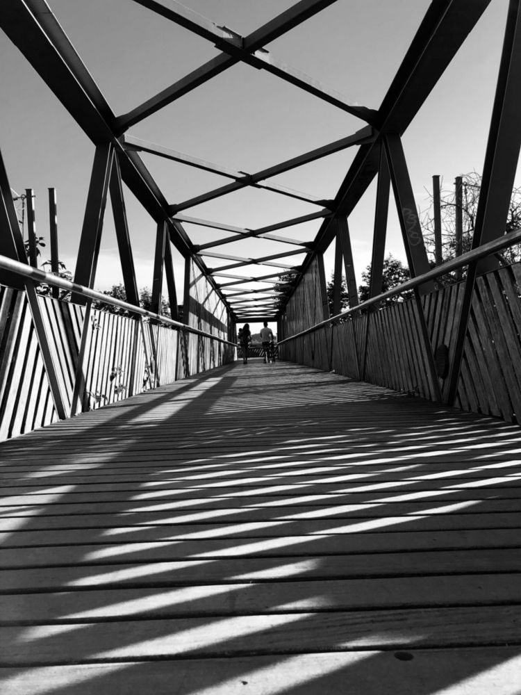 Photograph by CARMEN RAMON CAMI