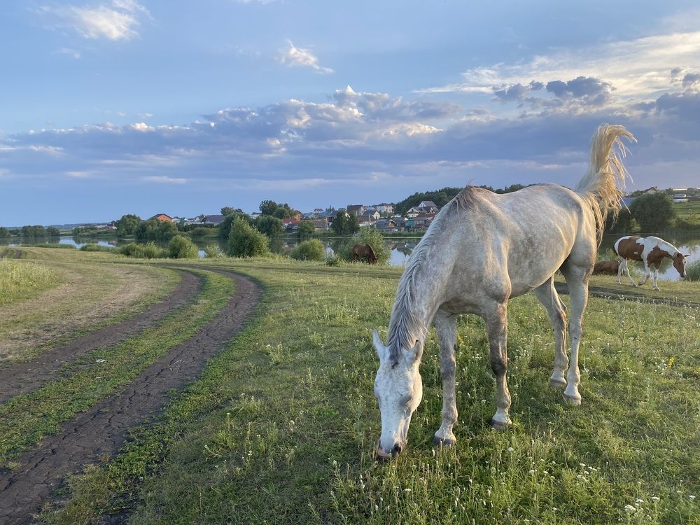 Photograph by Ksenya