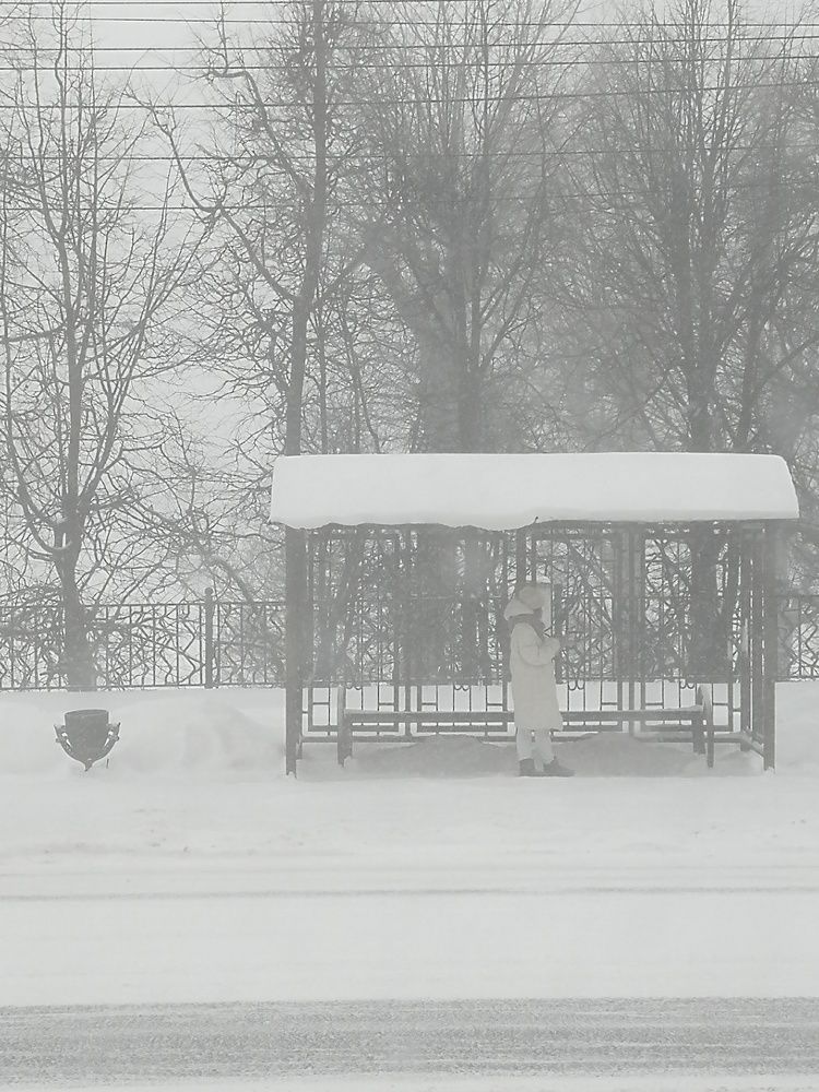 Кружит черно-белая погода.