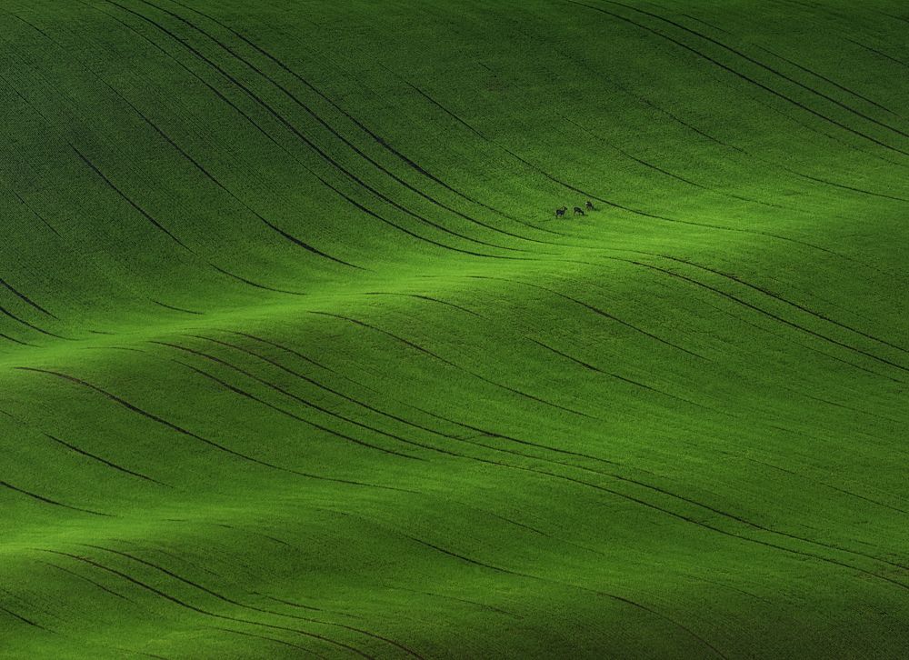 Photograph by Евгений Антонов