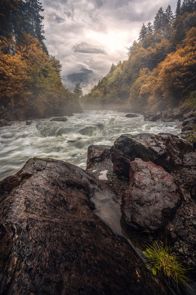 Фотография автора alexander forst