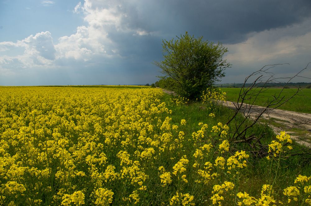 Photograph by Андрей Бурда