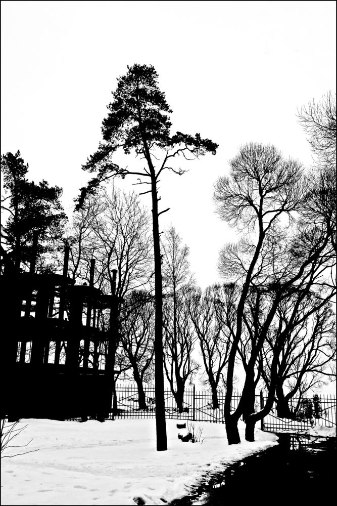 Photograph by Аркадий Попов