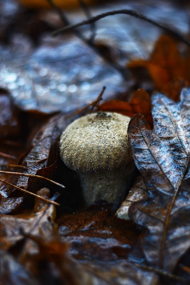 Привет! А вот и я!