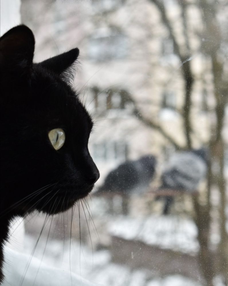 Photograph by Михаил Бородкин