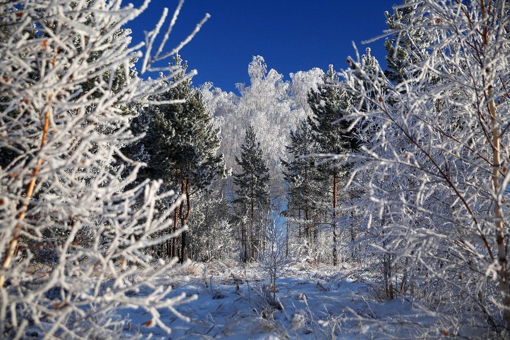 Зимняя сказка
