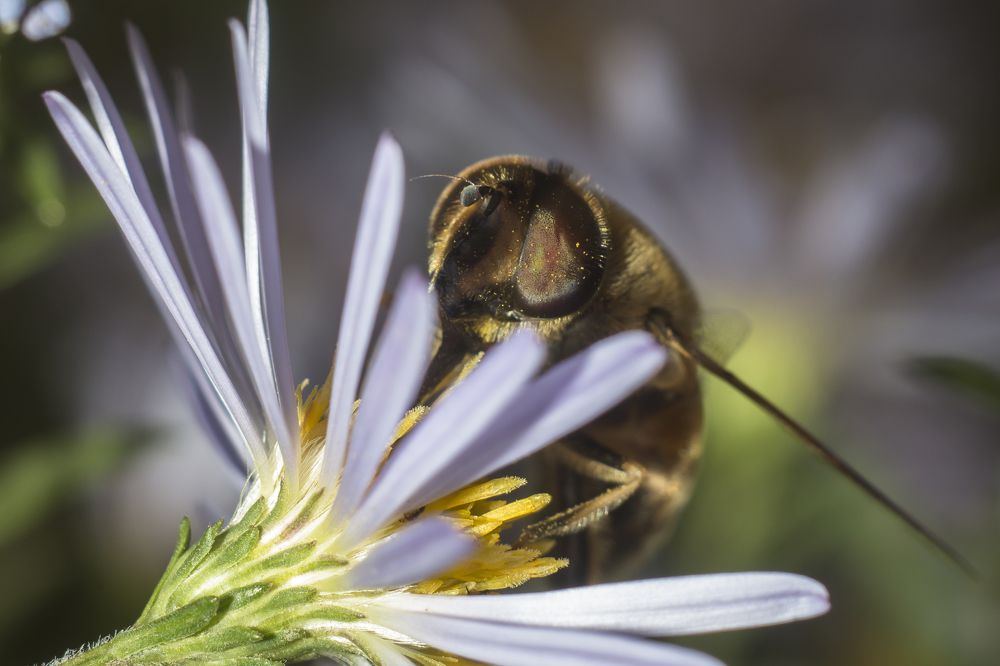Photograph by Дина Горбачёва