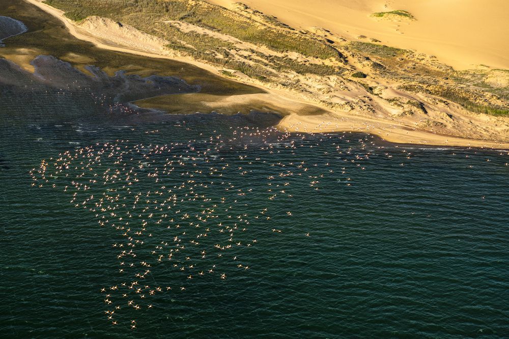 Photograph by Fikriye Er